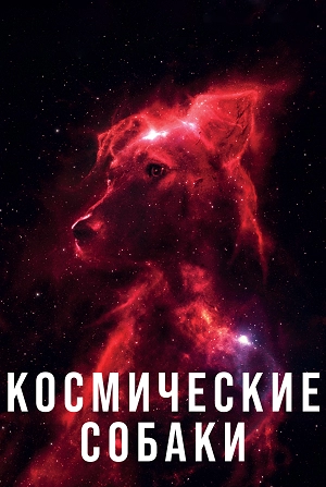 Космические собаки